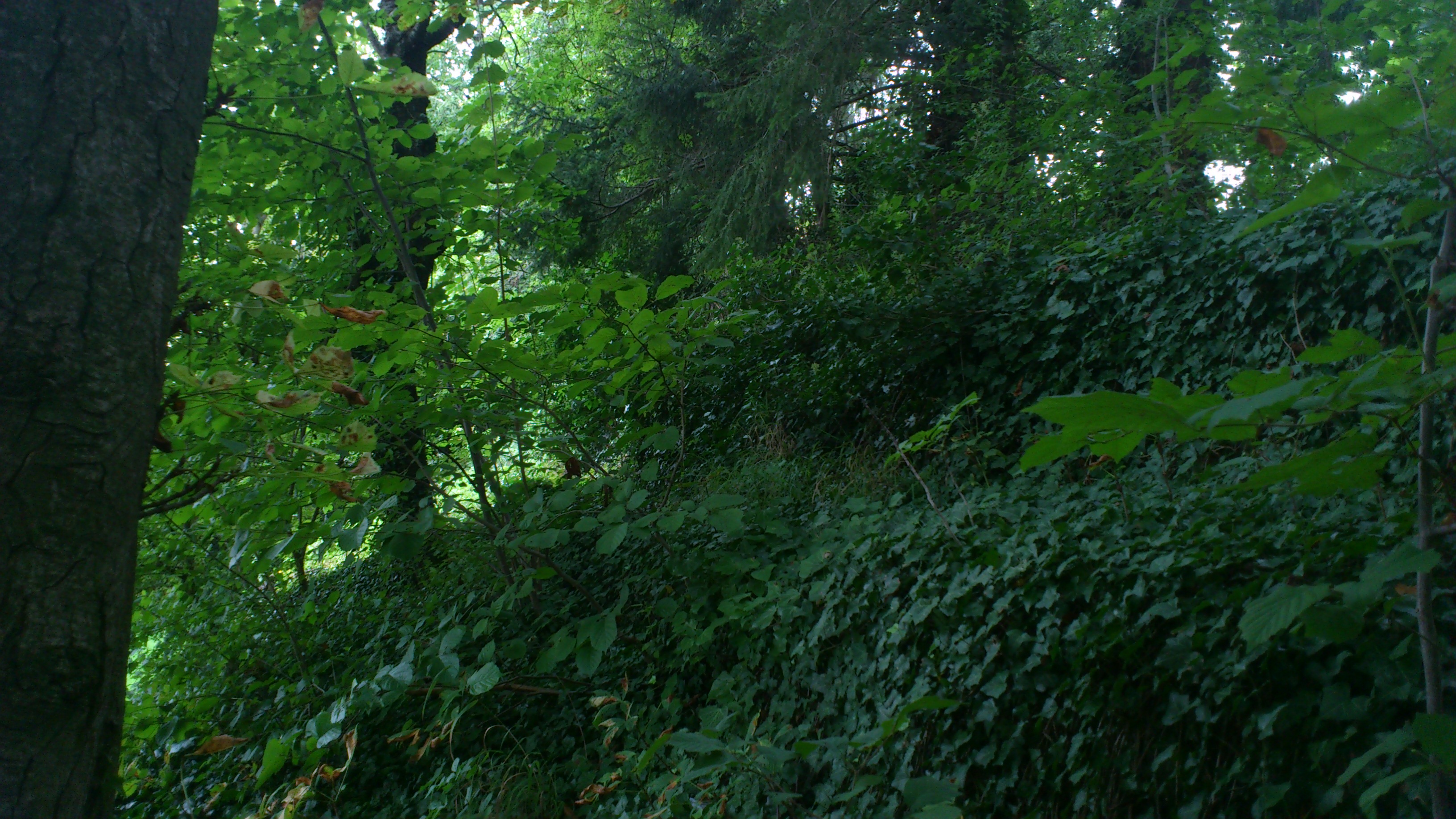 Langerrain historische Mauer terrassierter Bereich - nordwestlich vom Maihäldenspielplatz